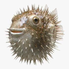 3D The Statue Of Liberty